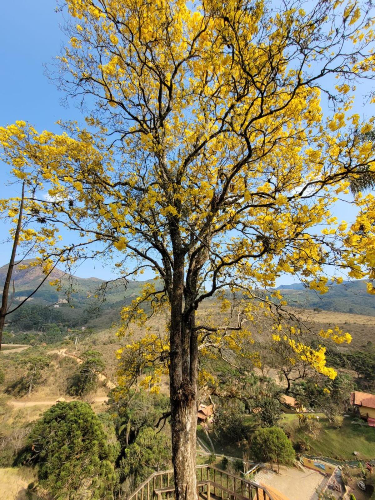 Pousada Recanto do Ypê Aiuruoca Exterior foto