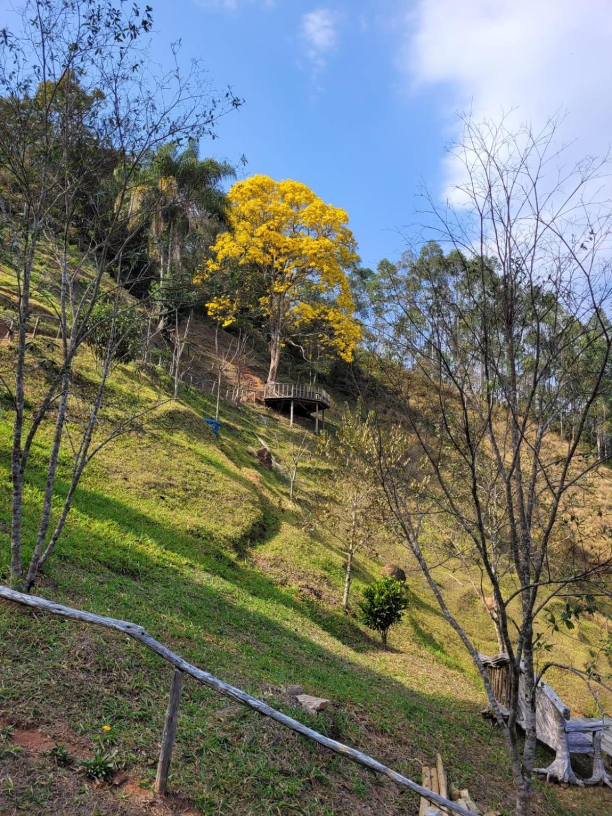 Pousada Recanto do Ypê Aiuruoca Exterior foto