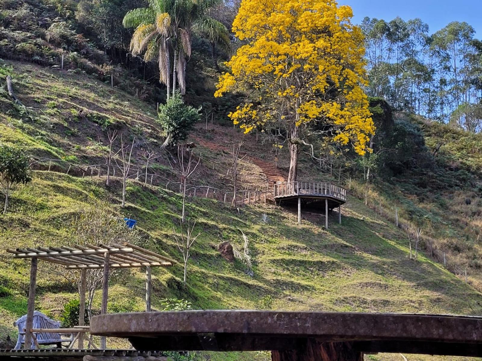 Pousada Recanto do Ypê Aiuruoca Exterior foto