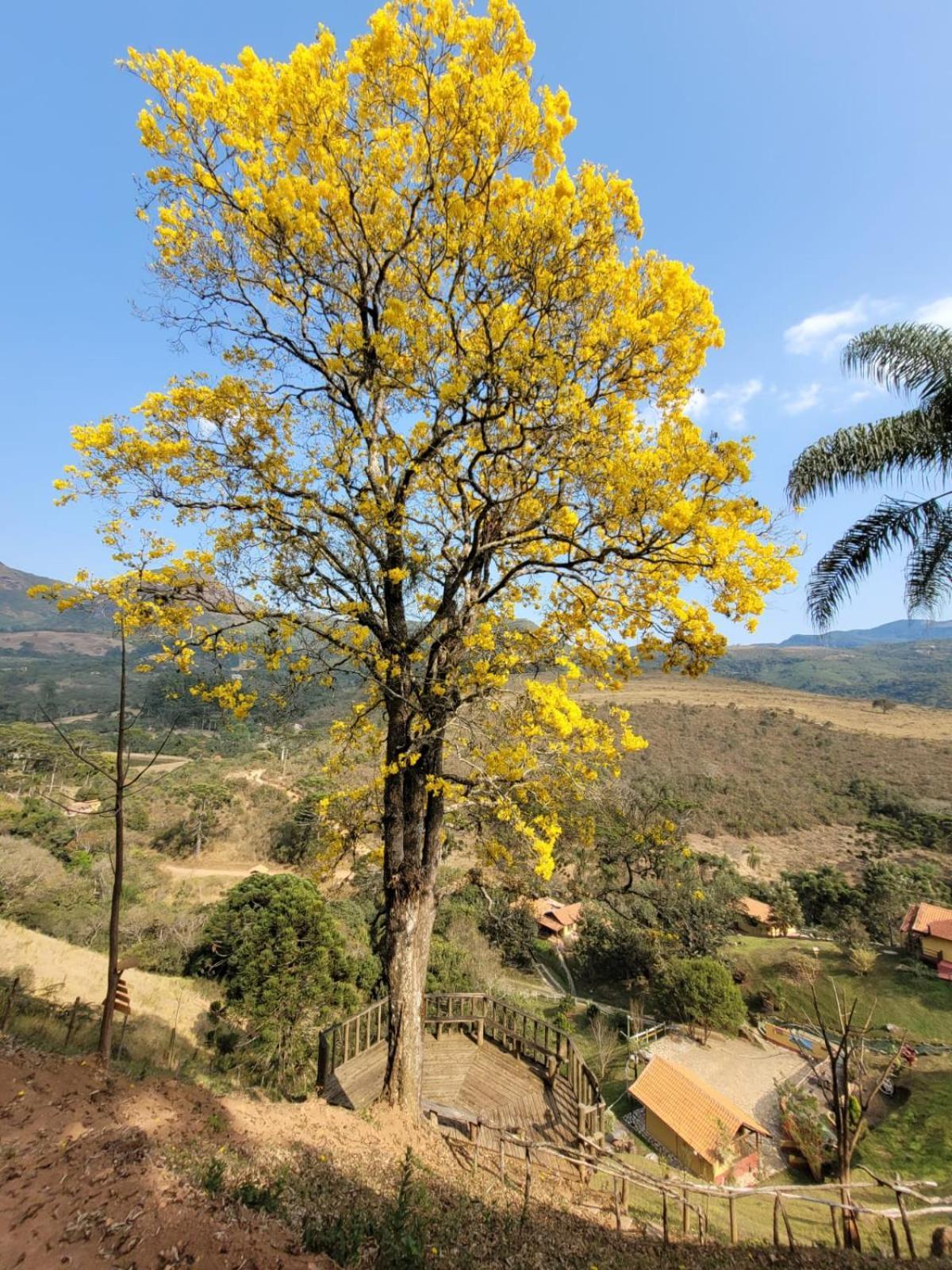 Pousada Recanto do Ypê Aiuruoca Exterior foto